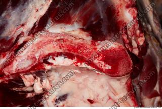 Photo Textures of RAW Beef Meat